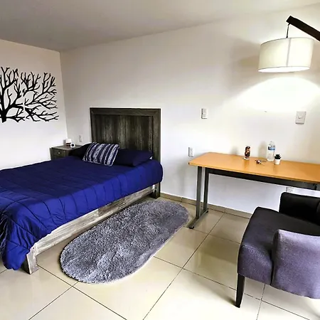 C3 Executive Suites At Itesm Cem Families Tourists & Travelers Choice Foreign Students Companies Executives Welcome!!! 10Min Izcalli-15Min Esmeralda-20Min Satelite-25Min Aifa